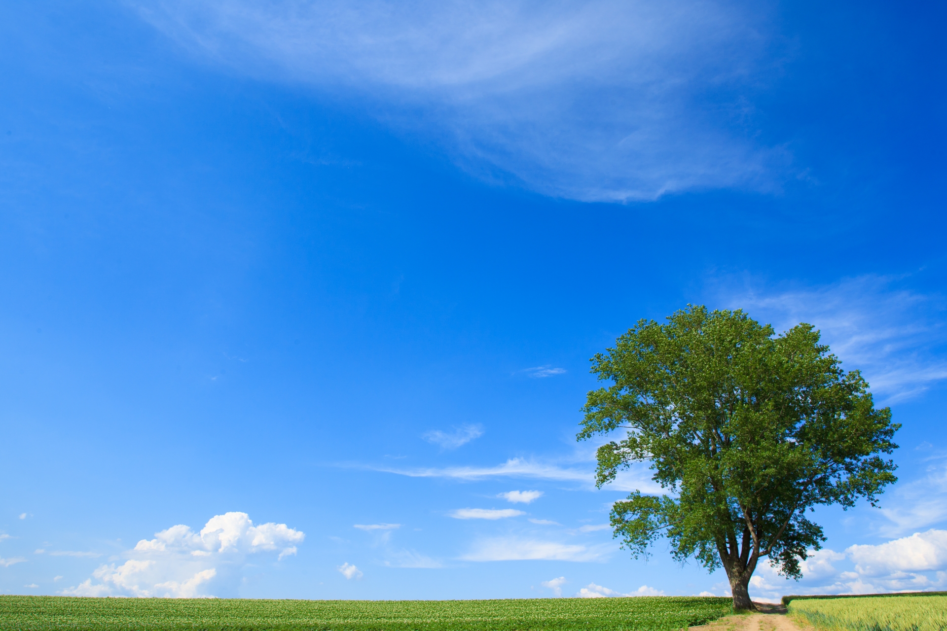 共有持分の不動産、売却できないと思っていませんか？資金化の新しい選択肢とは